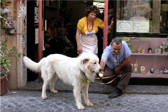 ricominciamo? era ora!