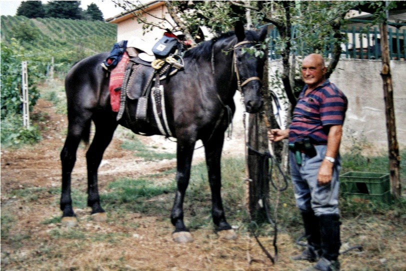 alla ricerca di Tuono