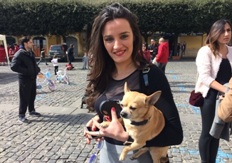 In arrivo i dog charter